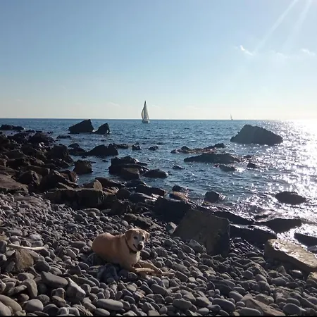 Cluxury-Torre Dei Saraceni Boutique Apt By The Sea Beach, Pool,Private Jacuzzi, Parking Cervo Exterior photo