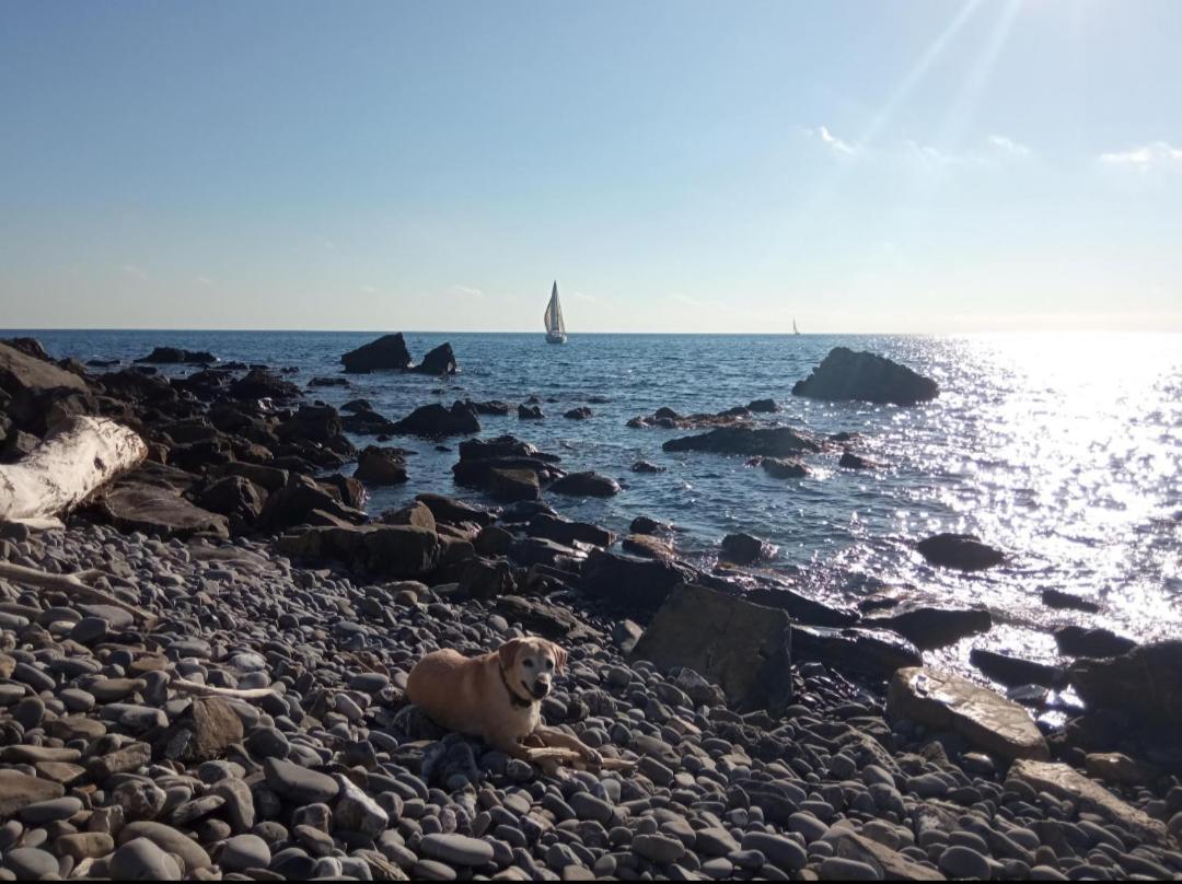Cluxury-torre Dei Saraceni Boutique By The Sea Beach, Pool,private Jacuzzi, Parking Hébergement de vacances